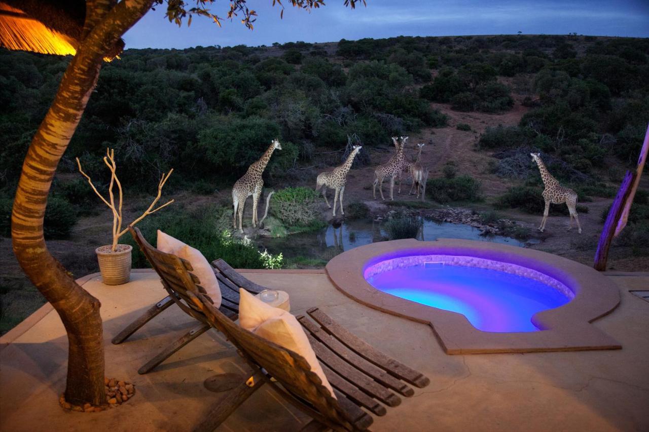 Safari Lodge - Amakhala Game Reserve Exterior foto