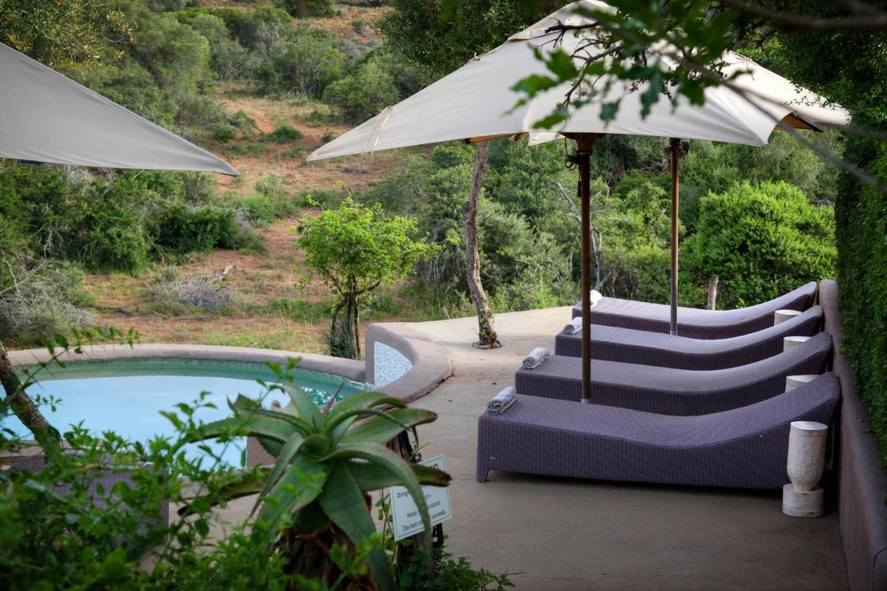 Safari Lodge - Amakhala Game Reserve Exterior foto