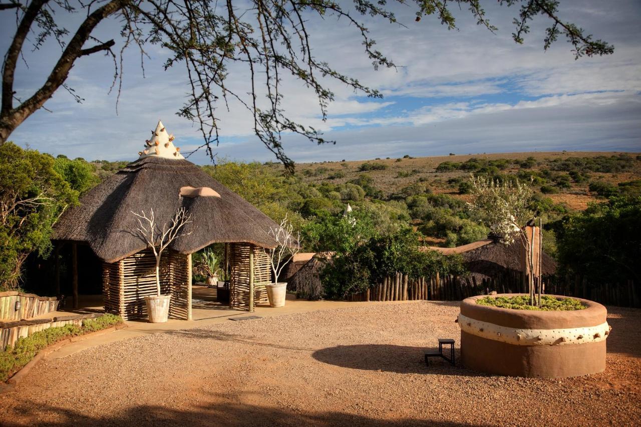 Safari Lodge - Amakhala Game Reserve Exterior foto
