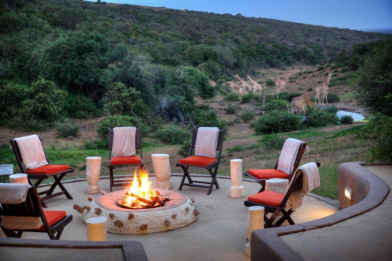 Safari Lodge - Amakhala Game Reserve Exterior foto