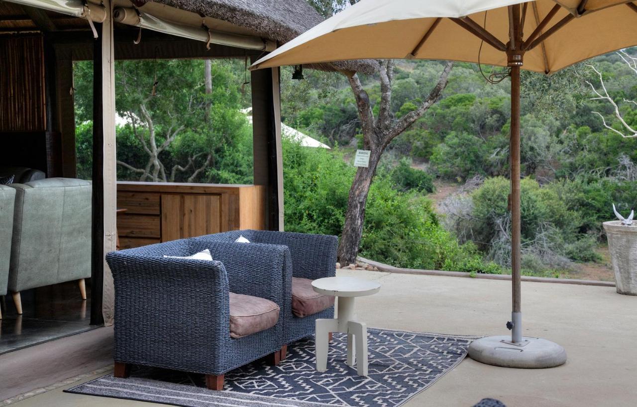 Safari Lodge - Amakhala Game Reserve Exterior foto
