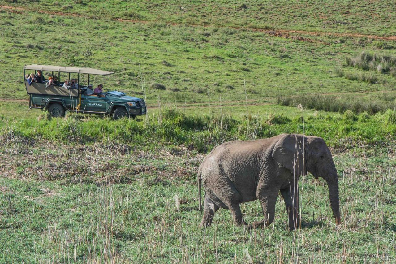 Safari Lodge - Amakhala Game Reserve Exterior foto
